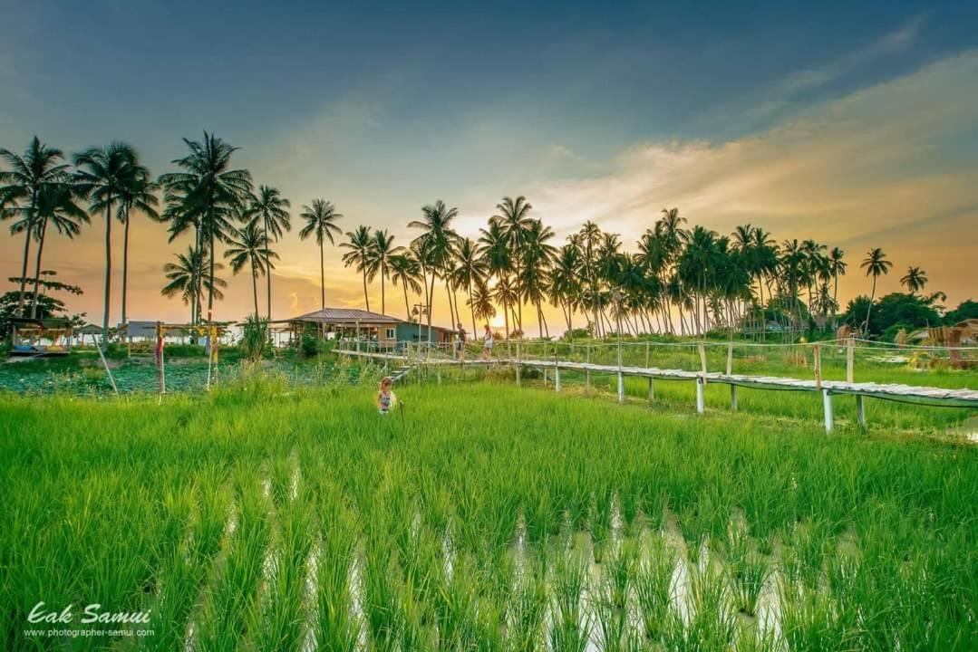 Hotel I - Talay Taling Ngam Samui - เขา ป่า นา เล ตลิ่งงาม สมุย Zewnętrze zdjęcie