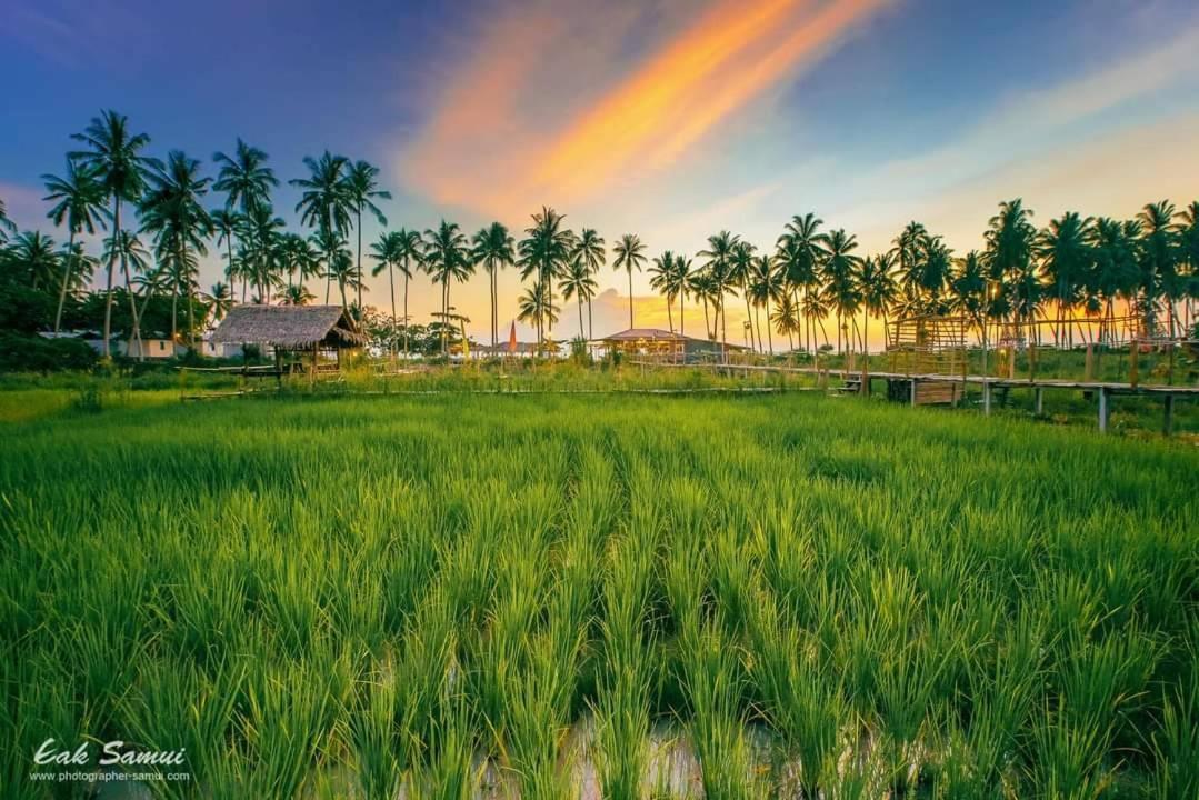 Hotel I - Talay Taling Ngam Samui - เขา ป่า นา เล ตลิ่งงาม สมุย Zewnętrze zdjęcie